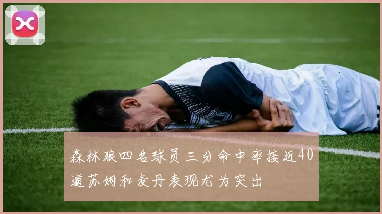 森林狼四名球员三分命中率接近40道苏姆和麦丹表现尤为突出